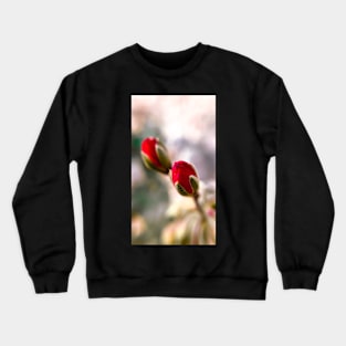 Early Birth in red Crewneck Sweatshirt